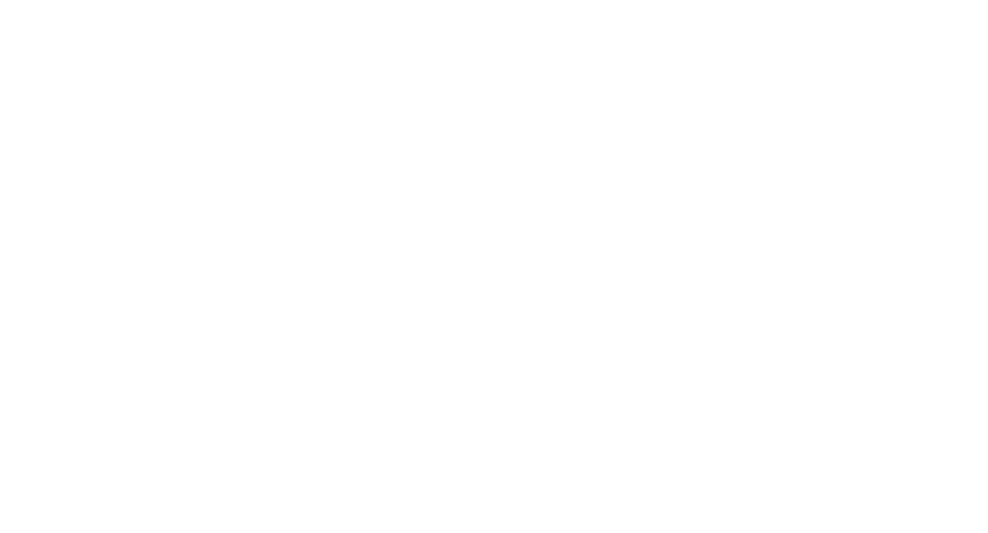 WordPress-logotype-alternative-white (1)